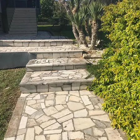 Lazaric Adria * 普拉